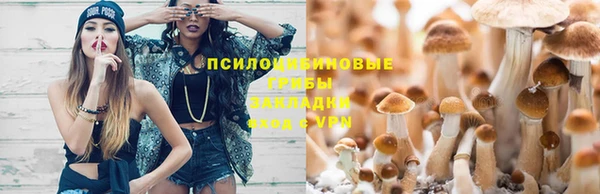 гашиш Алексин